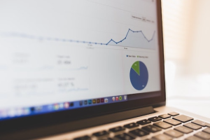 Business analytics dashboard displayed on laptop screen